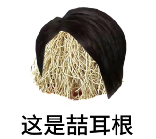 是鱼